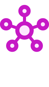 NETWORK