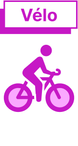 Advertising bike